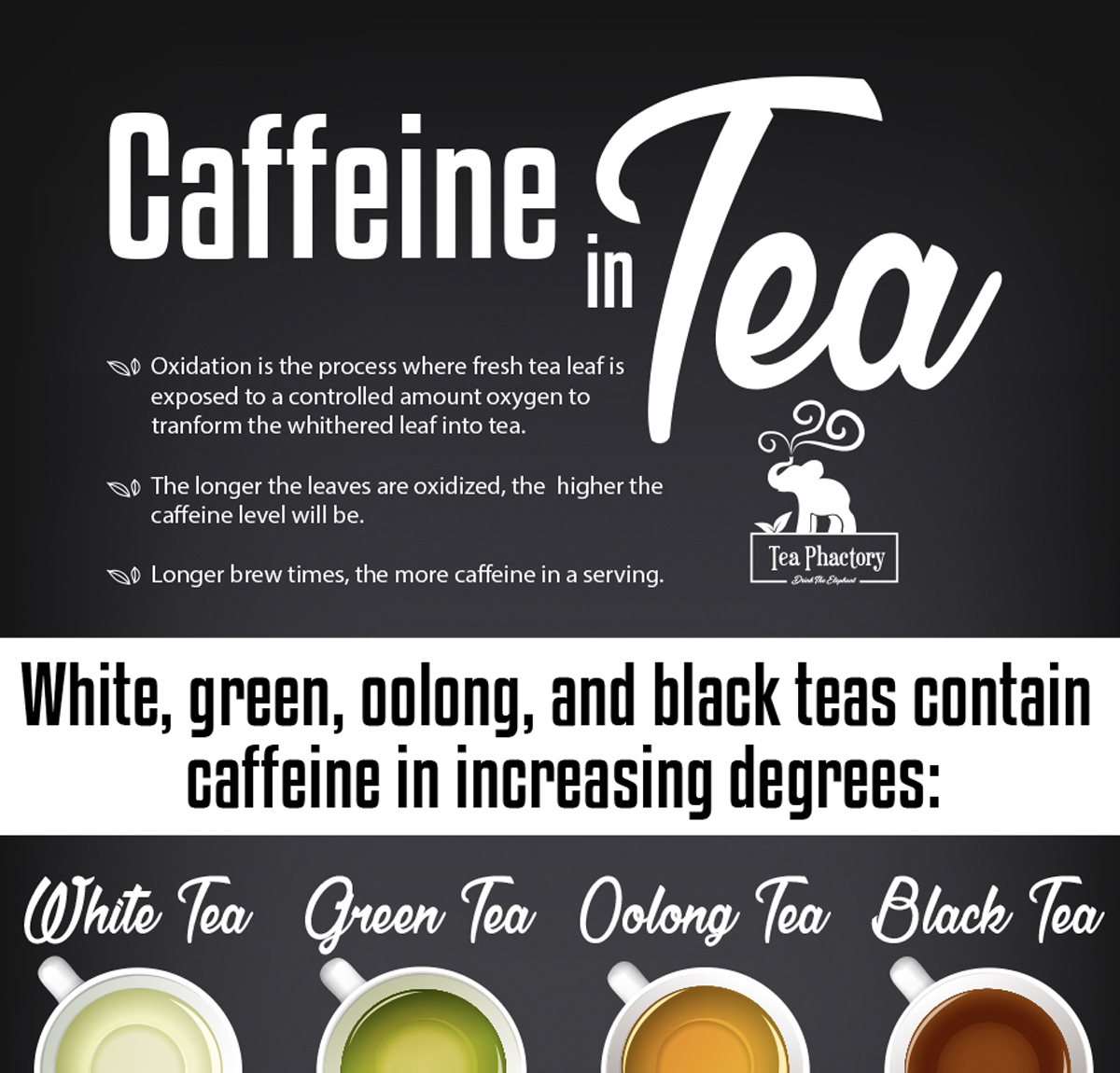 Caffeine in Tea Digital Infographic and Print Poster